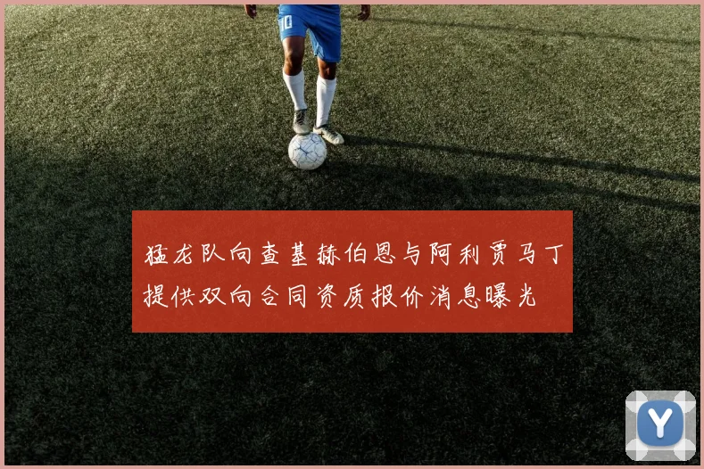 猛龙队向查基赫伯恩与阿利贾马丁提供双向合同资质报价消息曝光